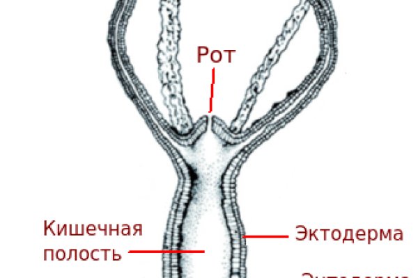 Кракен даркнет площадка kraken 11 store